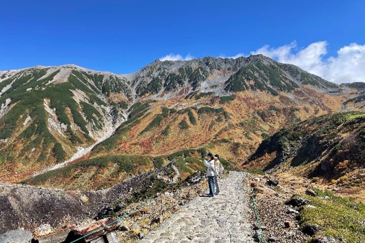 立山黑部 紅葉來了！官方追楓情報上線