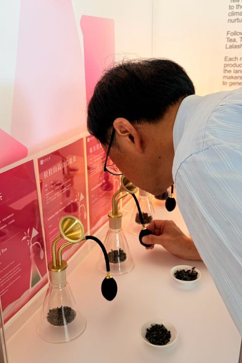雙十連假/「桃茶沙龍」進駐台灣設計展 《光流方舟》品茶去