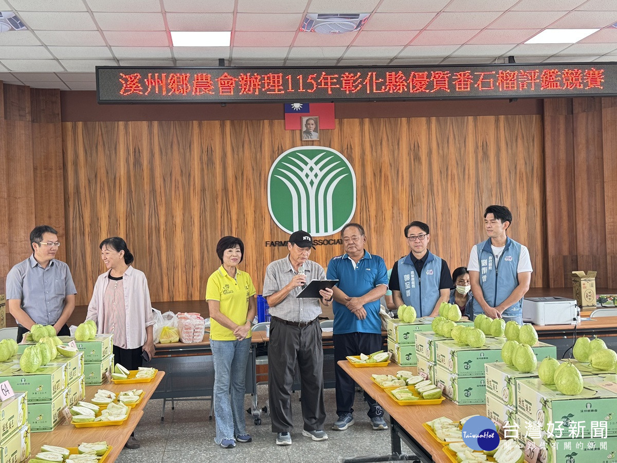 彰化縣優質番石榴評鑑競賽 農友齊聚溪州爭奪優質番石榴桂冠