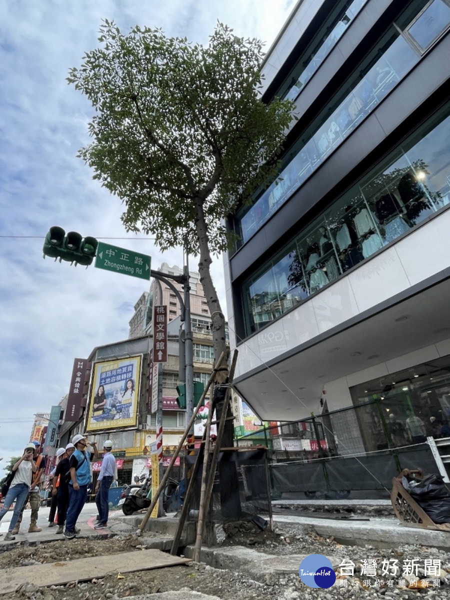 經專業團隊評估後,中正路至民生路段南側行道樹皆已架設防護網與支架加強樹木支撐。