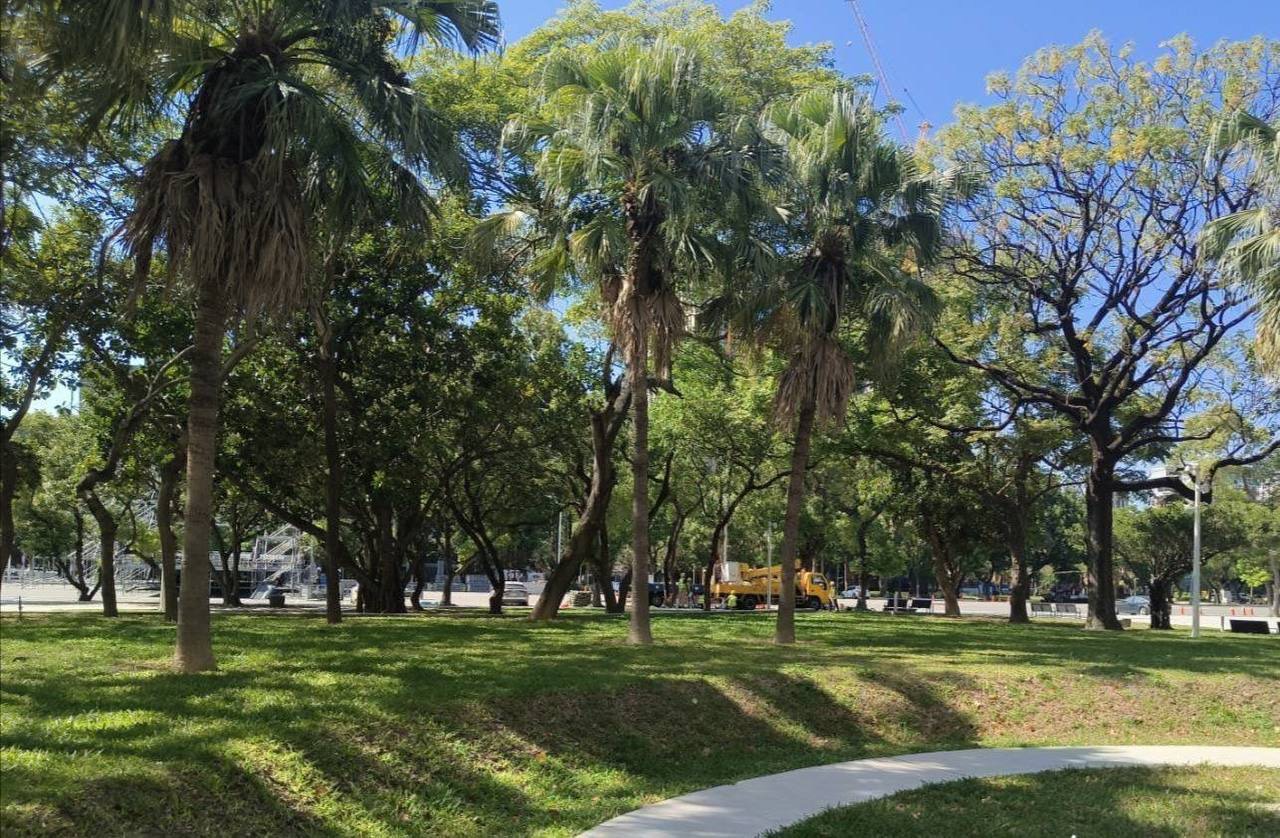 竹北市東、市西公園改造成箭靶 范格菱拿數據反擊:護樹靠專業 252 竹北市東、市西公園改造成箭靶 范格菱拿數據反擊:護樹靠專業 251