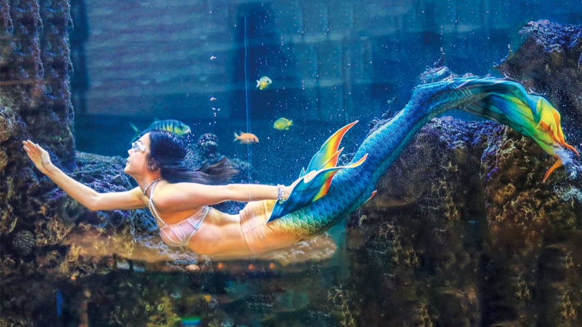 圖／大葉高島屋限定活動，於地下一樓中央水族廣場推出「美人魚姐姐餵魚秀」，假日下午2時及晚上7時各演出一場。（大葉高島屋提供）