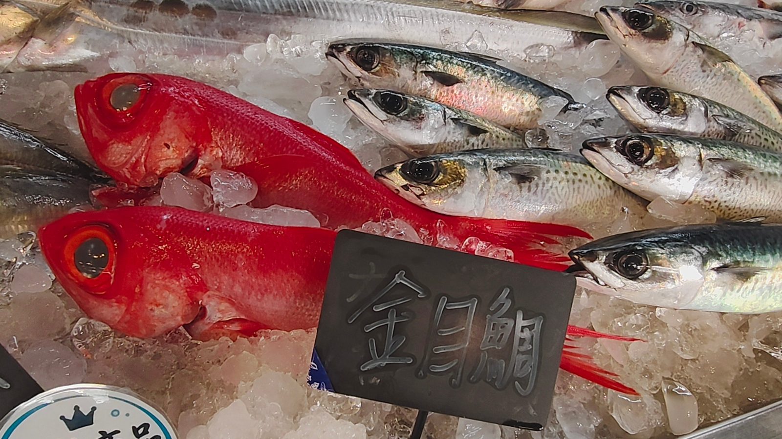 SQ10133 4黃家魚室