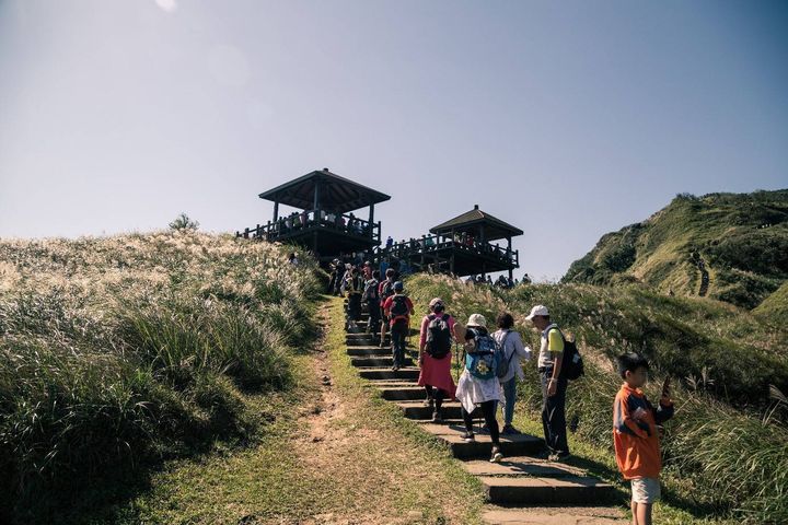 「草嶺古道芒花季」邀旅人秋日穿越時光 走進賞芒體驗旅程