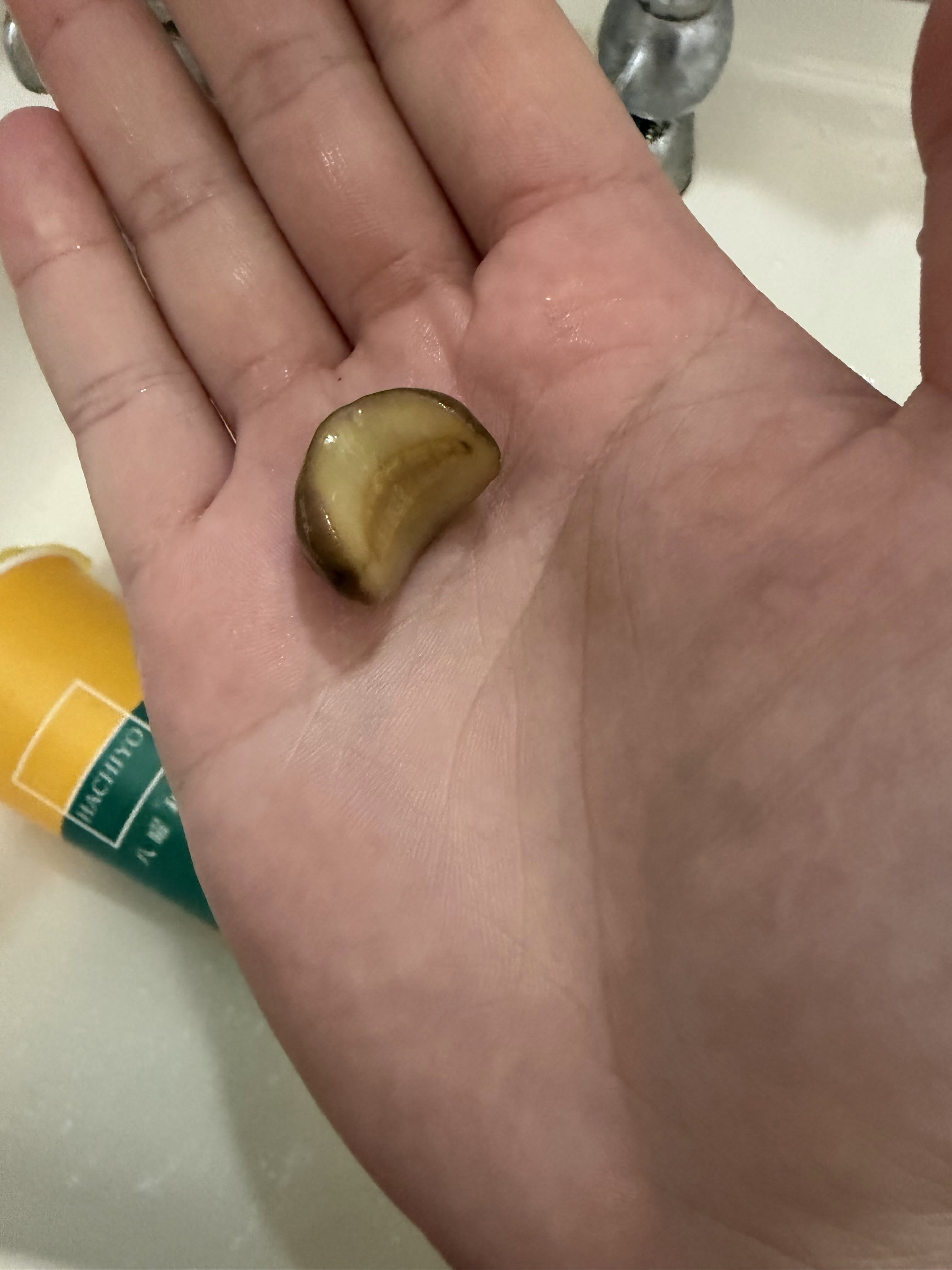 八曜和茶飲品驚見活蛞蝓!民眾以為是梅子嚇壞急診 東海門市停業調查