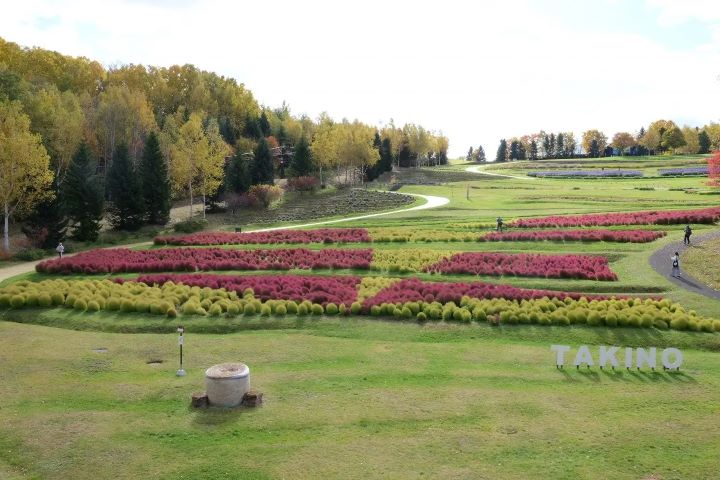 北海道札幌「瀧野鈴蘭丘陵公園」飽覽秋季限定美景