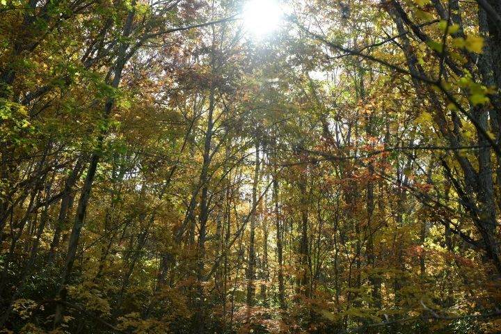 北海道札幌「瀧野鈴蘭丘陵公園」飽覽秋季限定美景