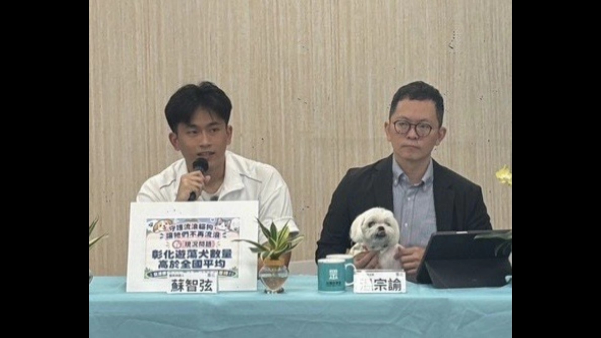 SQ10229 3彰化遊蕩犬治理
