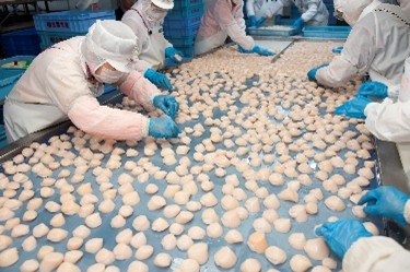 ②從產地捕撈、加工到冷鏈配送，日本產帆立貝透過完善的供應體系，將鮮甜滋味送上世界各地的餐桌
