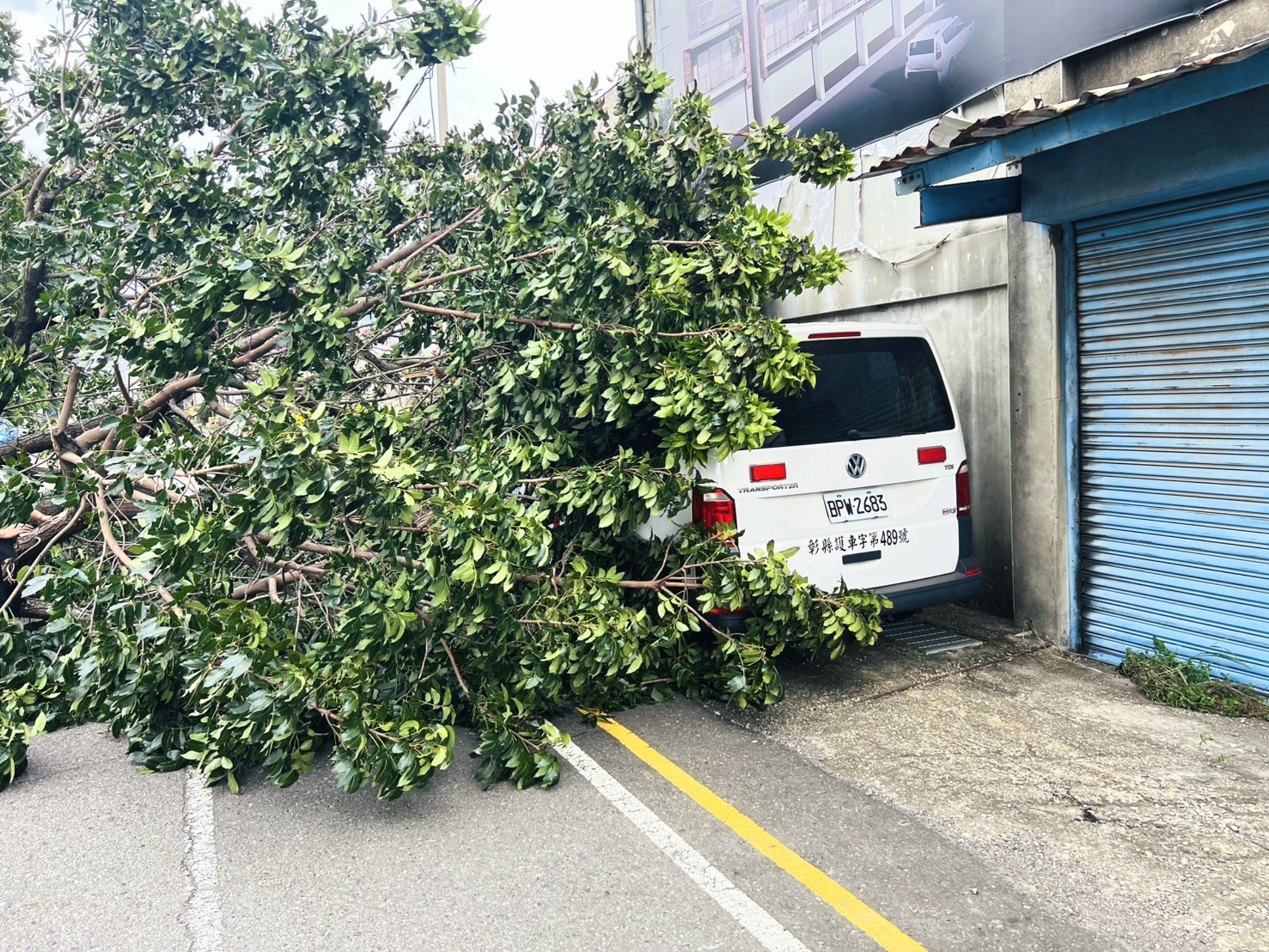 SQ10236 1彰化巨樹不敵強風倒塌　救護車被壓住