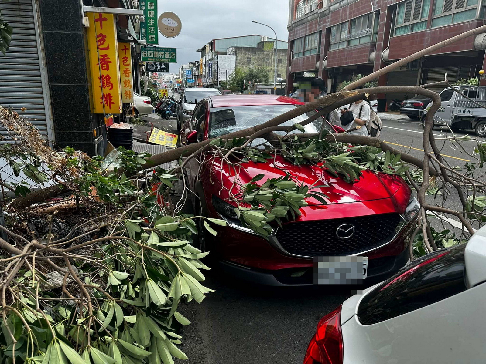 SQ10248 2愛車遭路樹砸爛