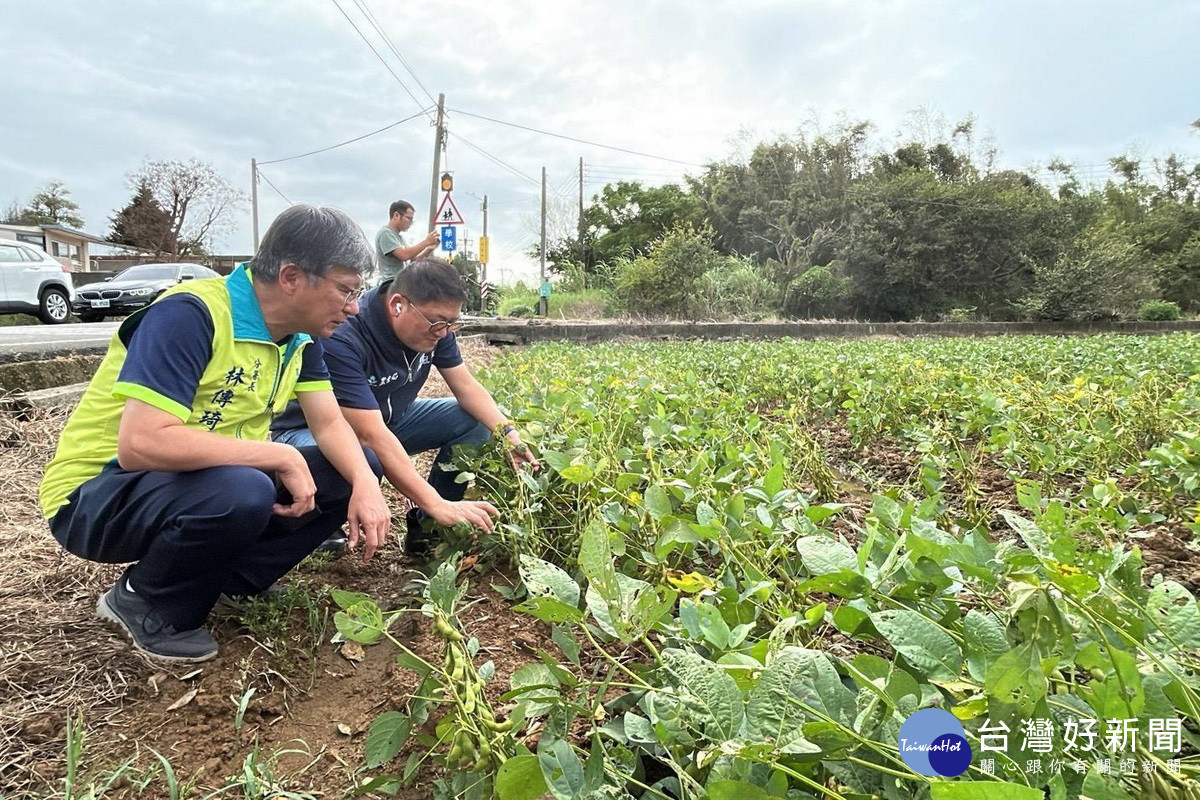 薔琵颱風來襲造成部分農作物倒伏、浸水,桃市府農業局長陳冠義赴現場查勘了解。<br /><br />