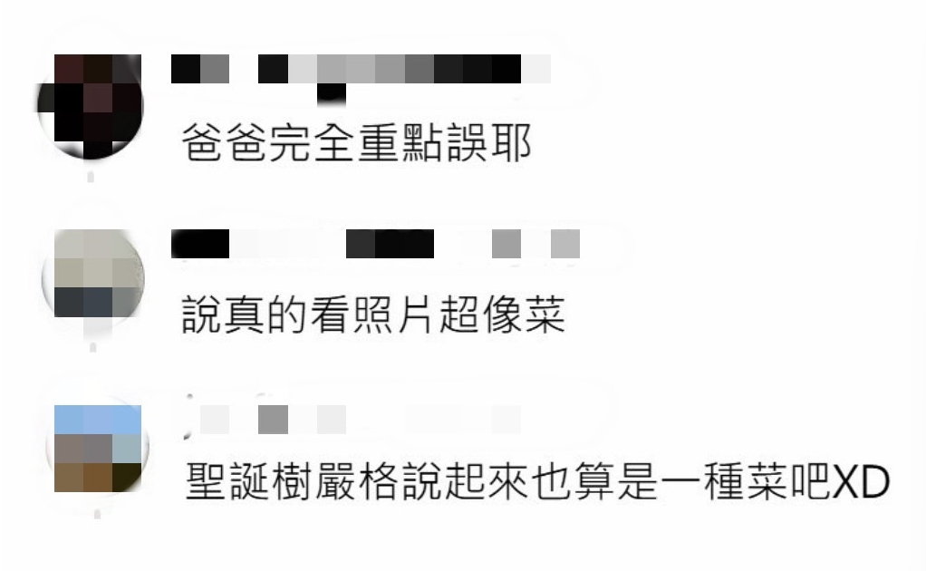 貼文一出,網友熱烈留言,認為這款聖誕節限量牙膏很有趣。圖/鄭欣宜翻攝、後製