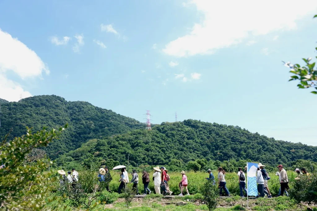 走進宜蘭大南澳，從苦茶園認識地方生活