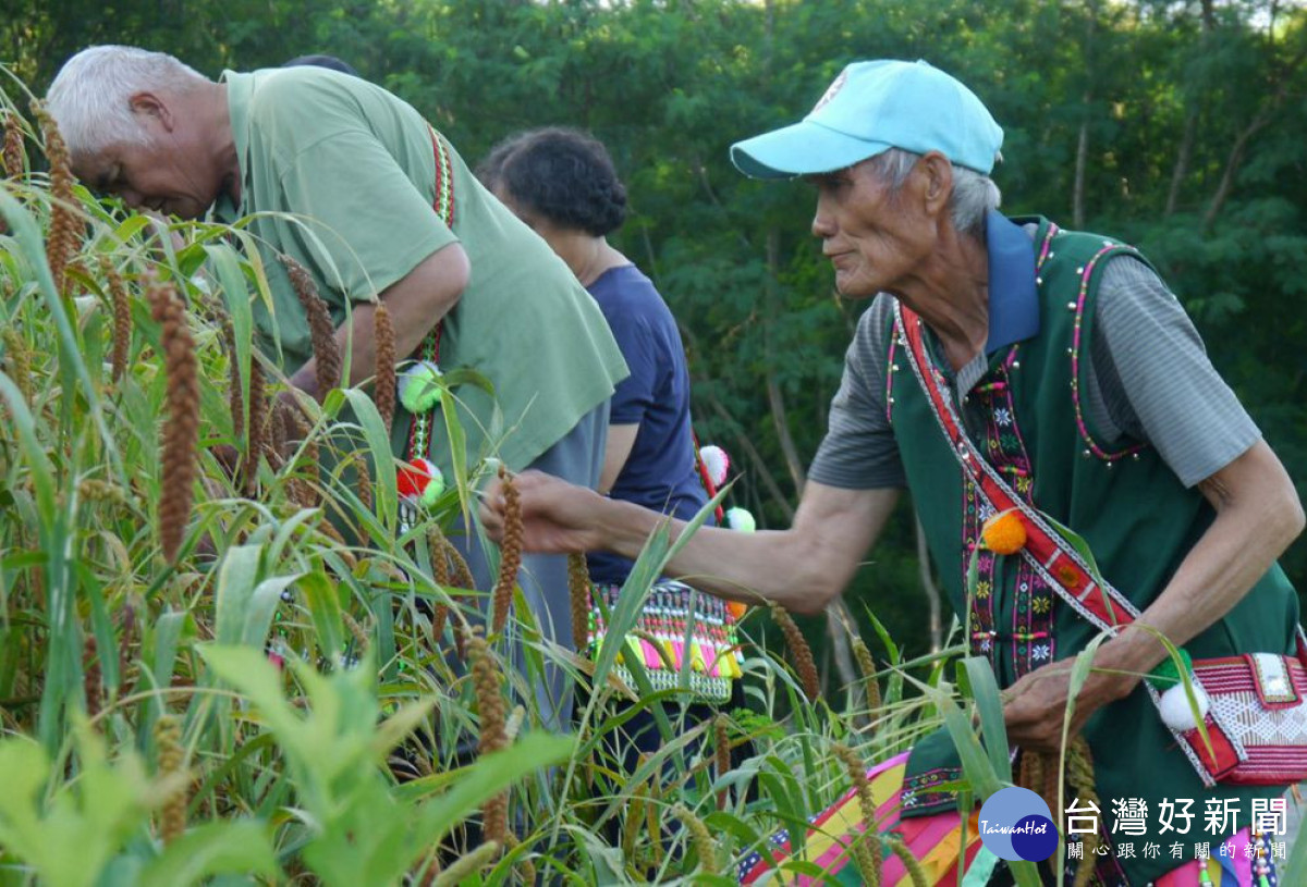 里仁支持原鄉部落「小米進校園」計畫,串聯部落友善農業、食農教育與傳統飲食文化。(里仁公司提供)