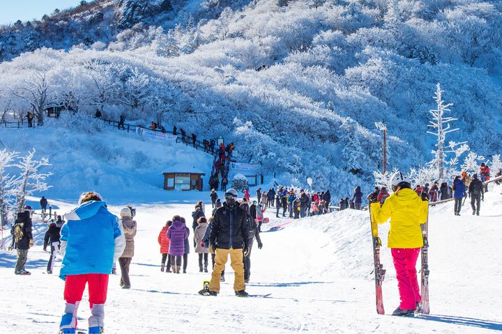 冬日旅行提案：追極光、賞雪景 跟著國際金旅獎收藏冬季視野 