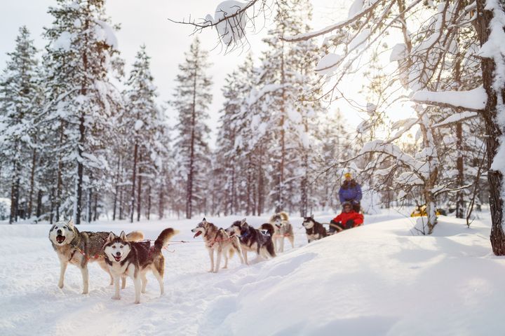 冬日旅行提案：追極光、賞雪景 跟著國際金旅獎收藏冬季視野 