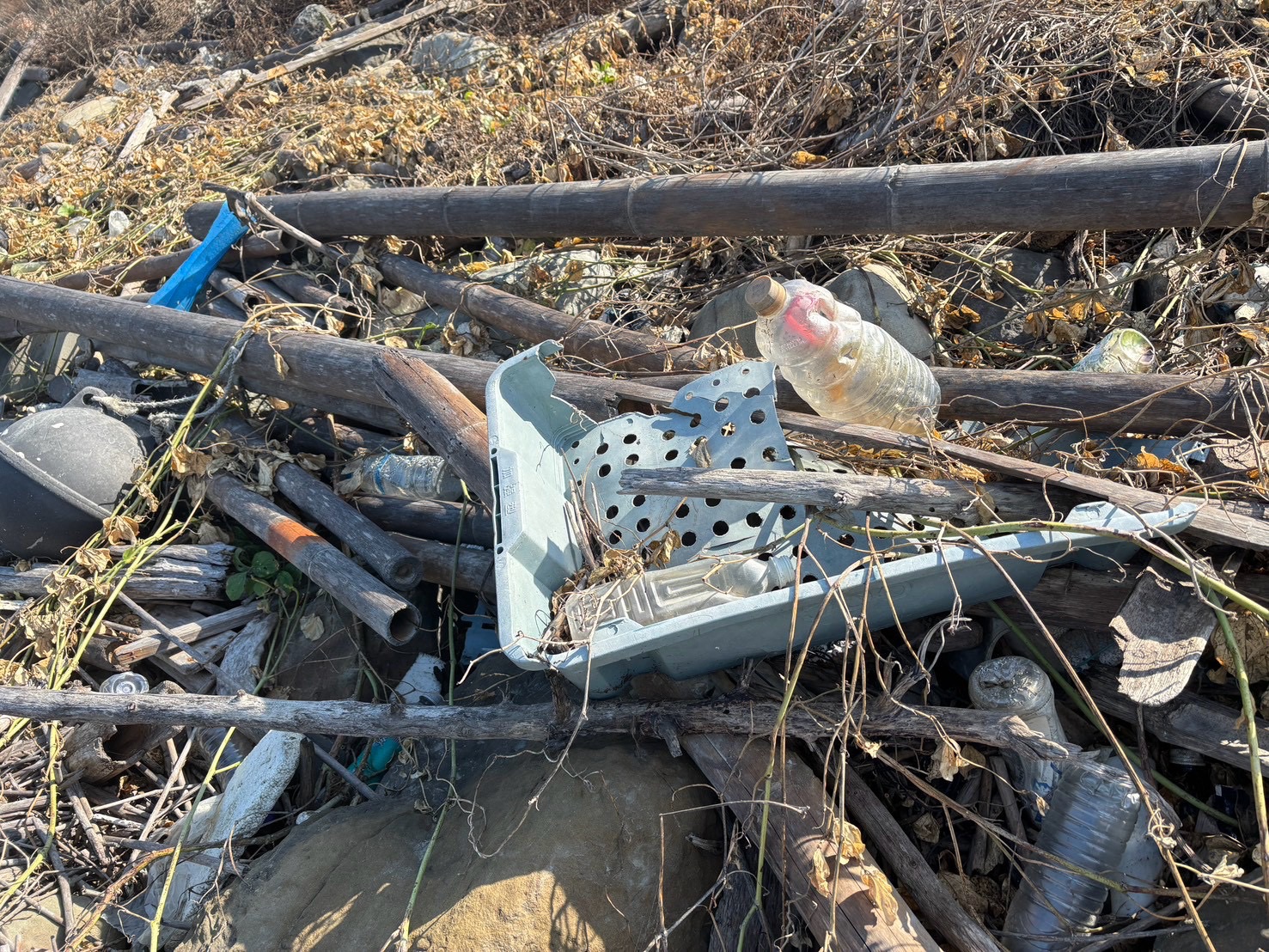 SQ10305 2國聲廣播海堤淨灘
